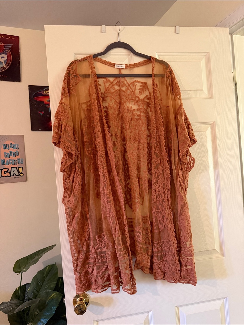 Sheer Embroidered Kimono Cover-Up in Rust Orange